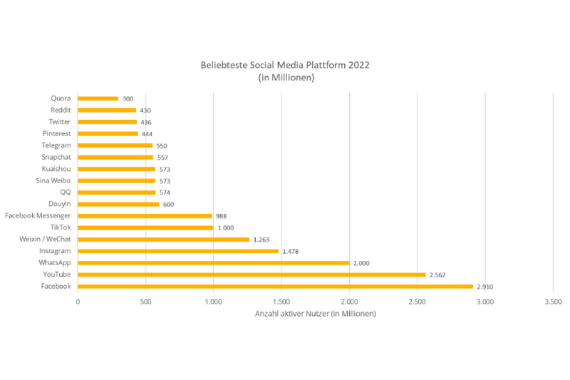 Eine Statistik, welche das Ranking der beliebtesten Social Media Plattform zeigt.